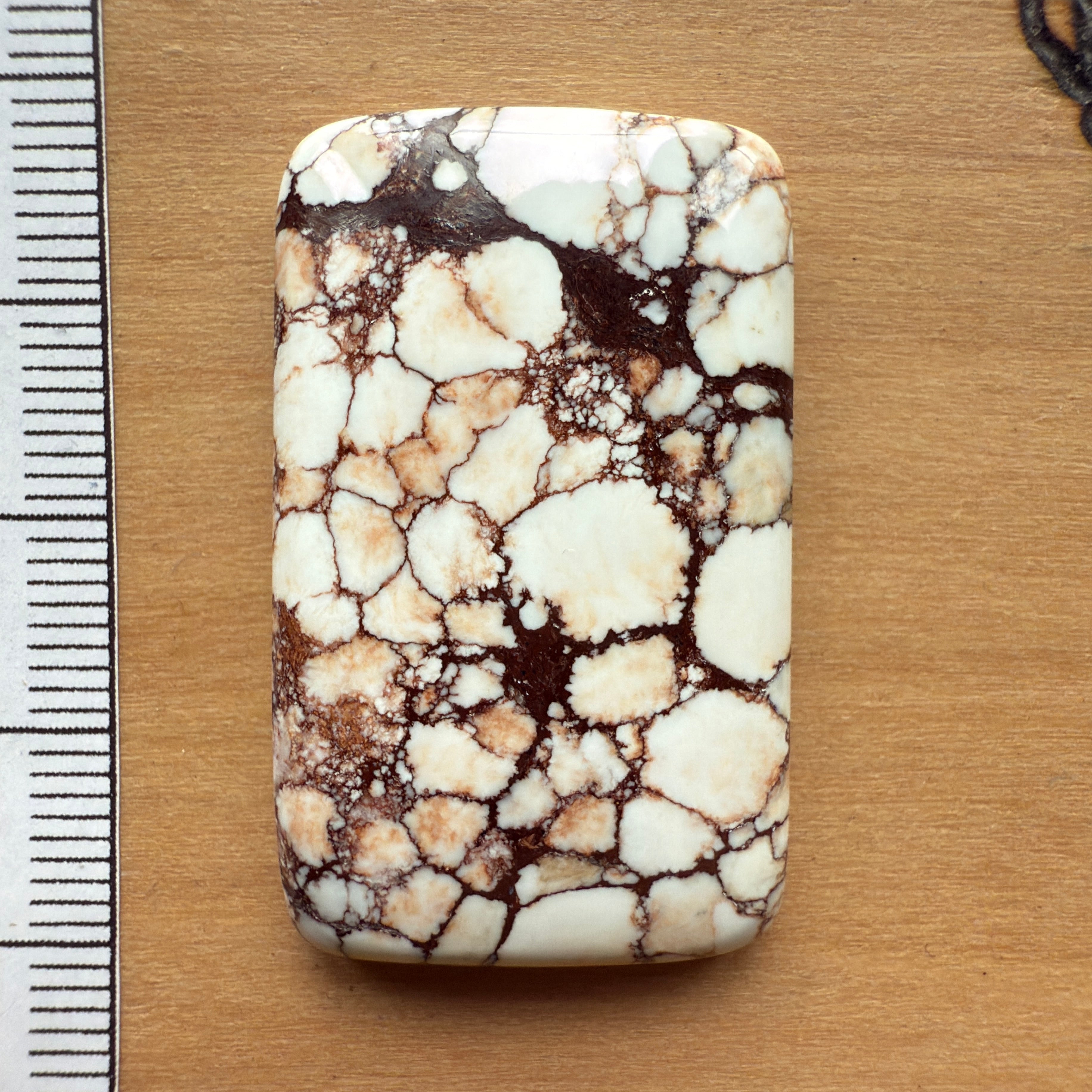 Cabochon Magnesite Wild Horse