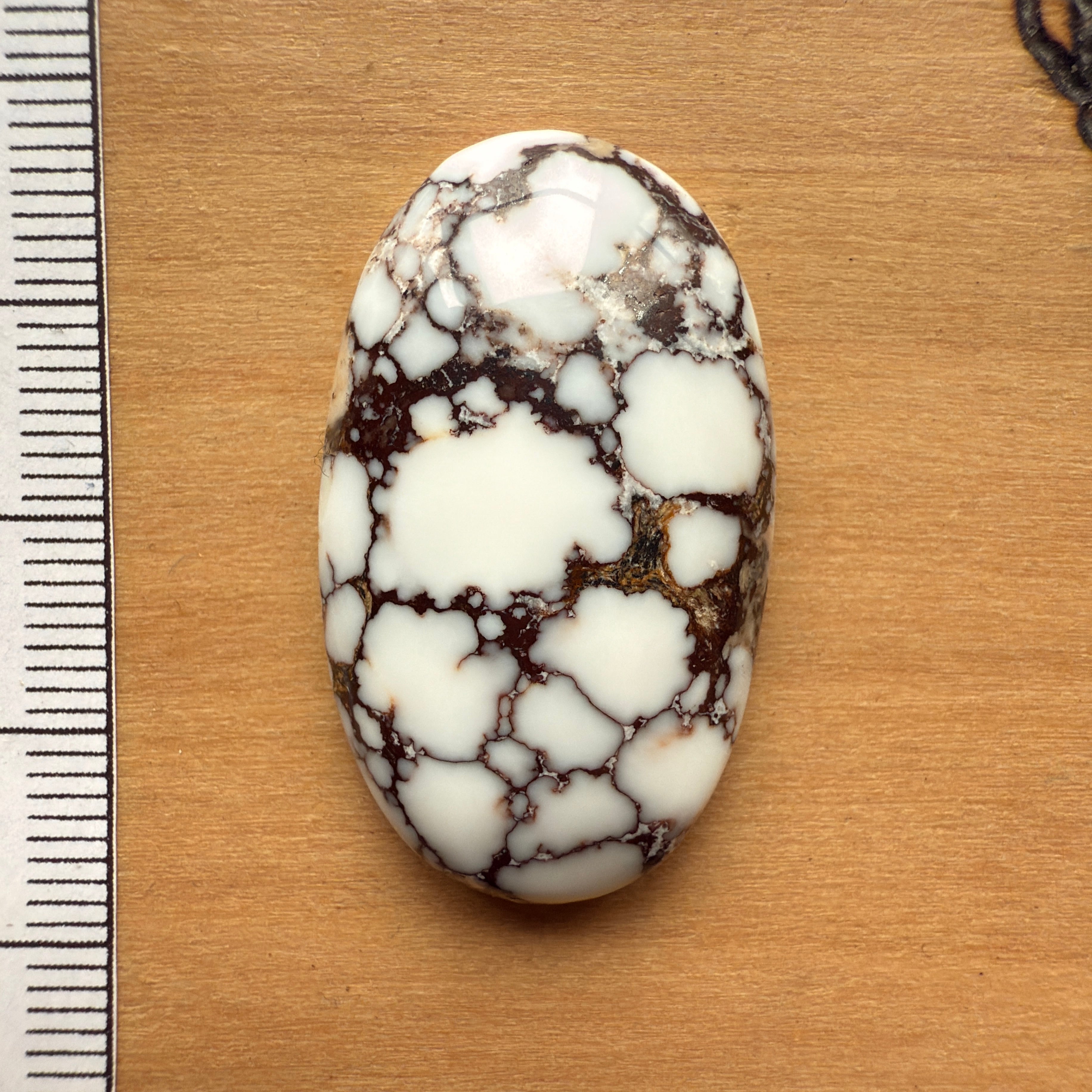 Cabochon Magnesite Wild Horse