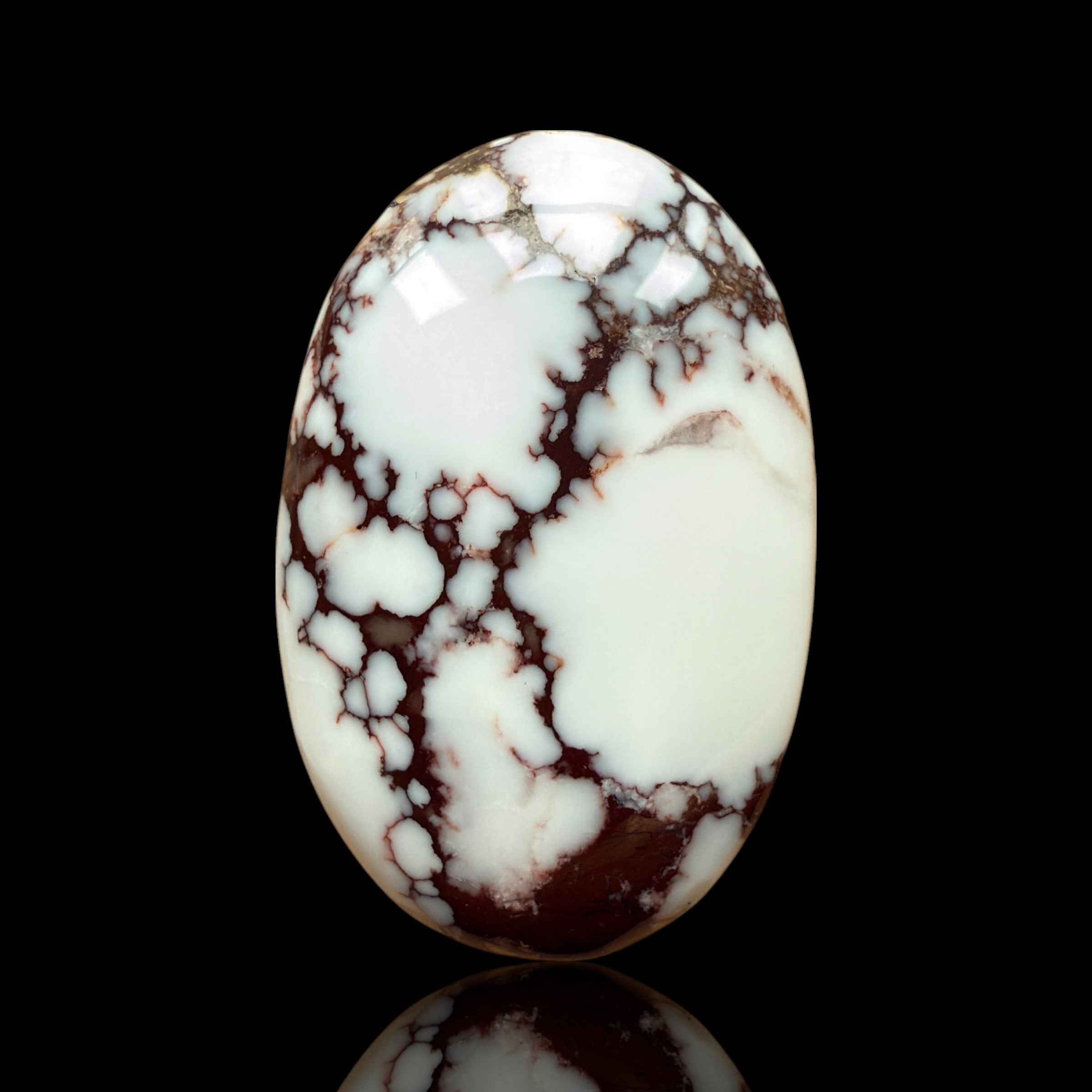 Cabochon Magnesite Wild Horse