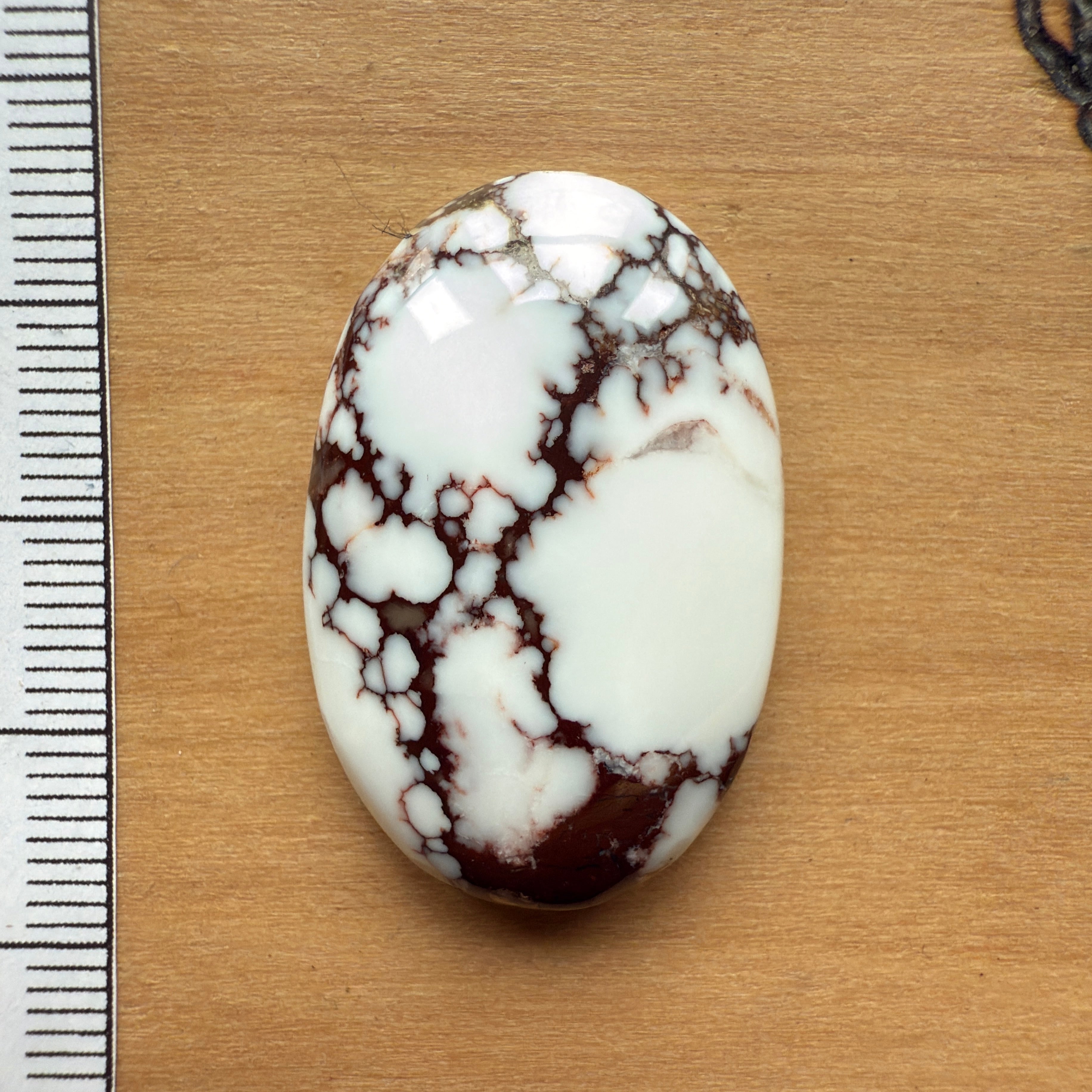 Cabochon Magnesite Wild Horse