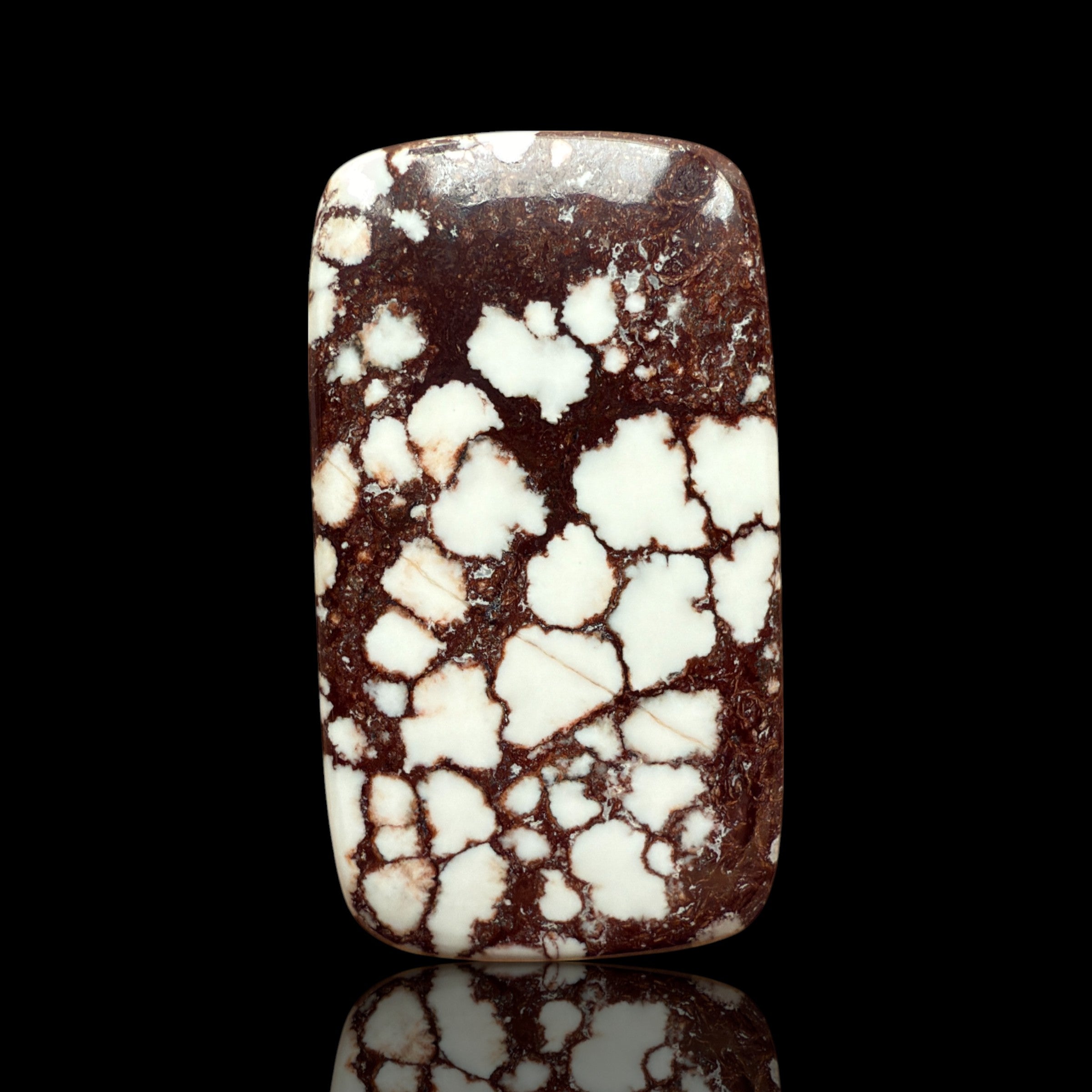 Cabochon Magnesite Wild Horse