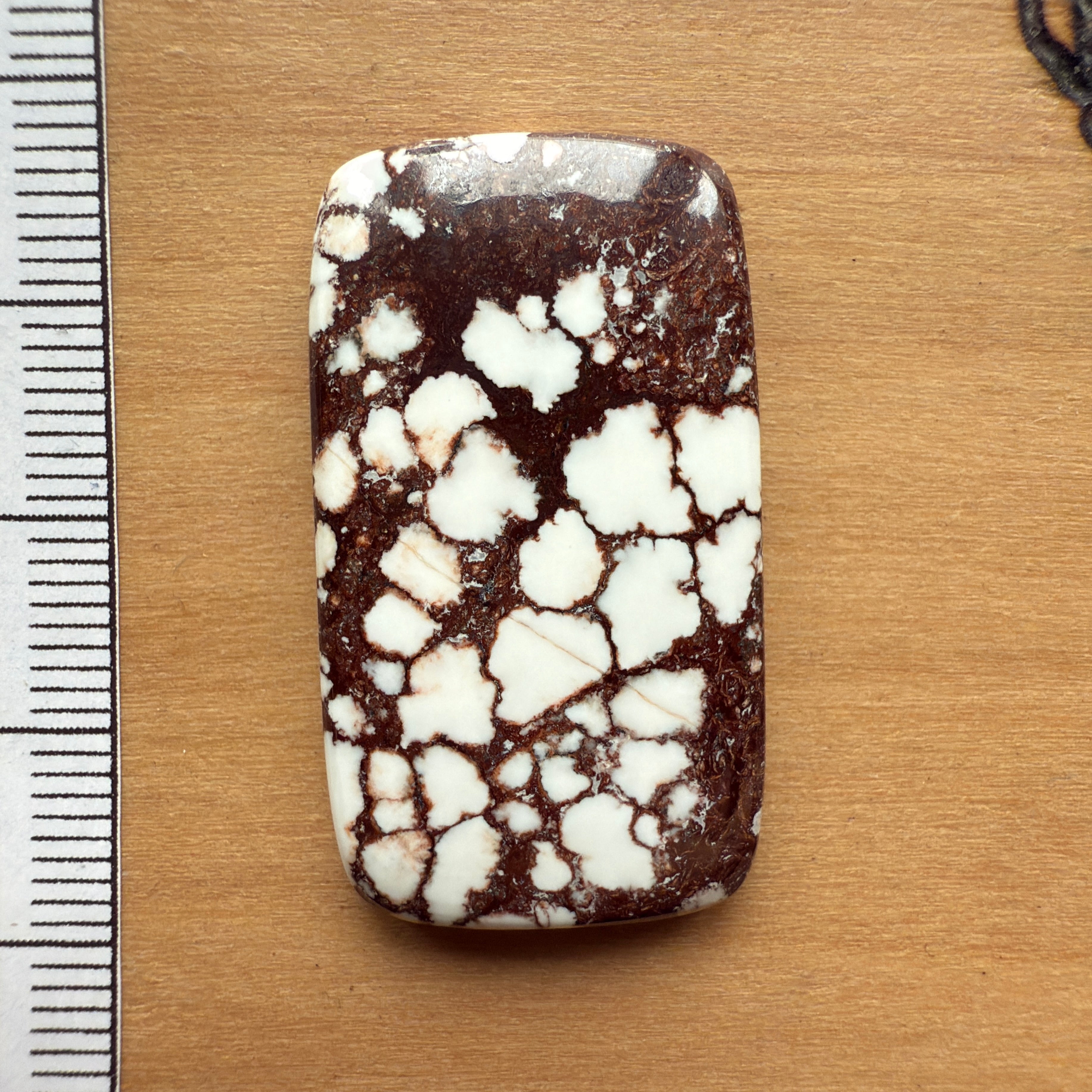 Cabochon Magnesite Wild Horse