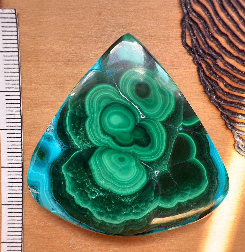 Cabochon Chrysocolle Malachite