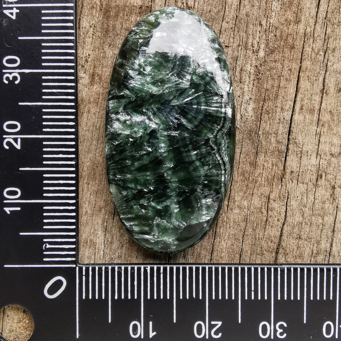 Cabochon Seraphinite