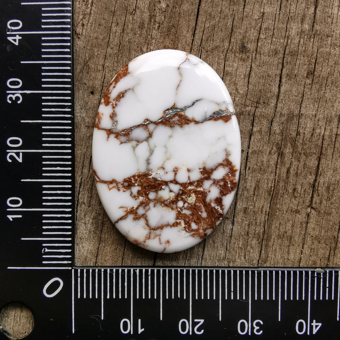 Cabochon Magnésite Wild Horse