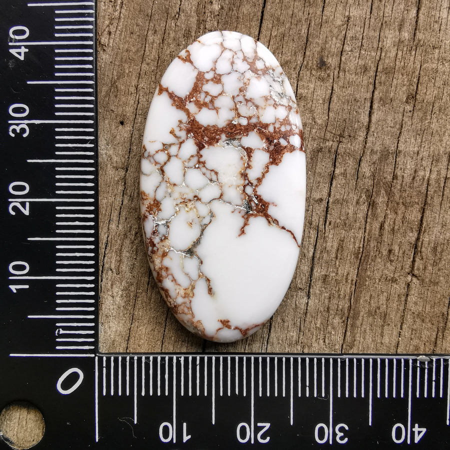 Cabochon Magnésite Wild Horse