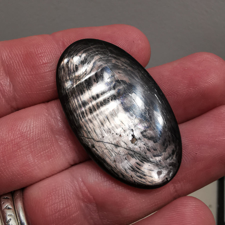 Cabochon Hypersthène