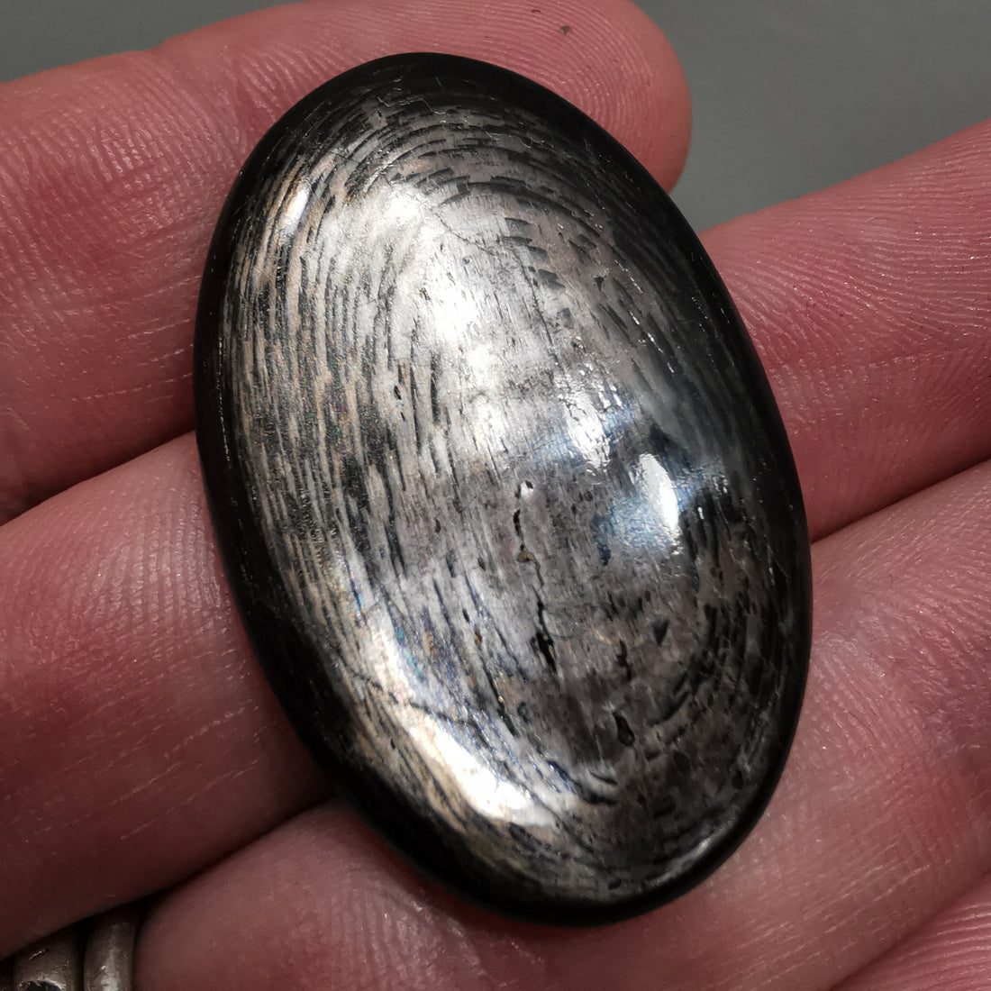 Cabochon Hypersthène