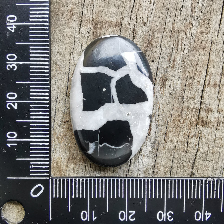 Cabochon Septaria