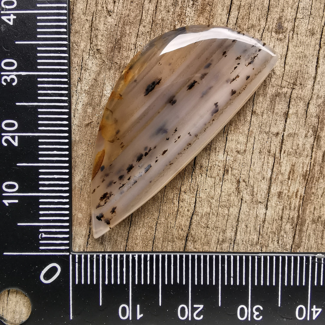 Cabochon Agate Montana