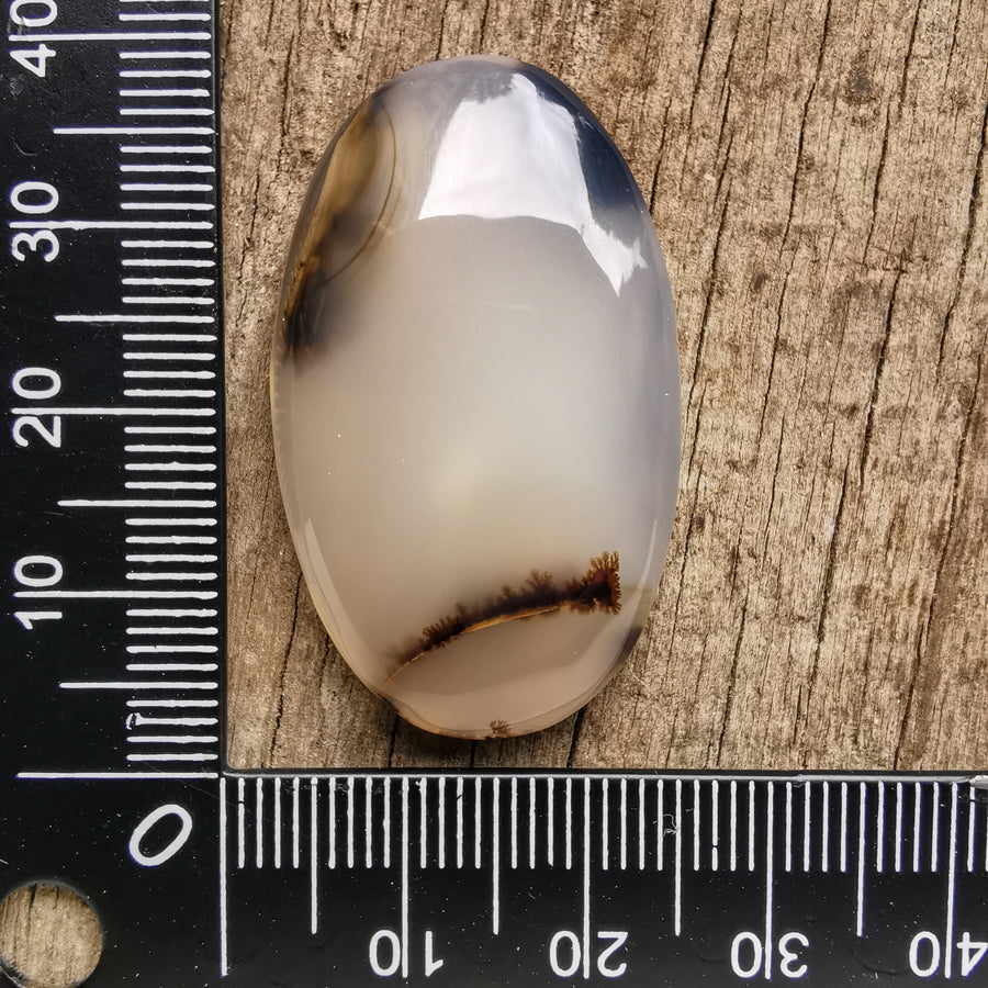 Cabochon Agate Montana