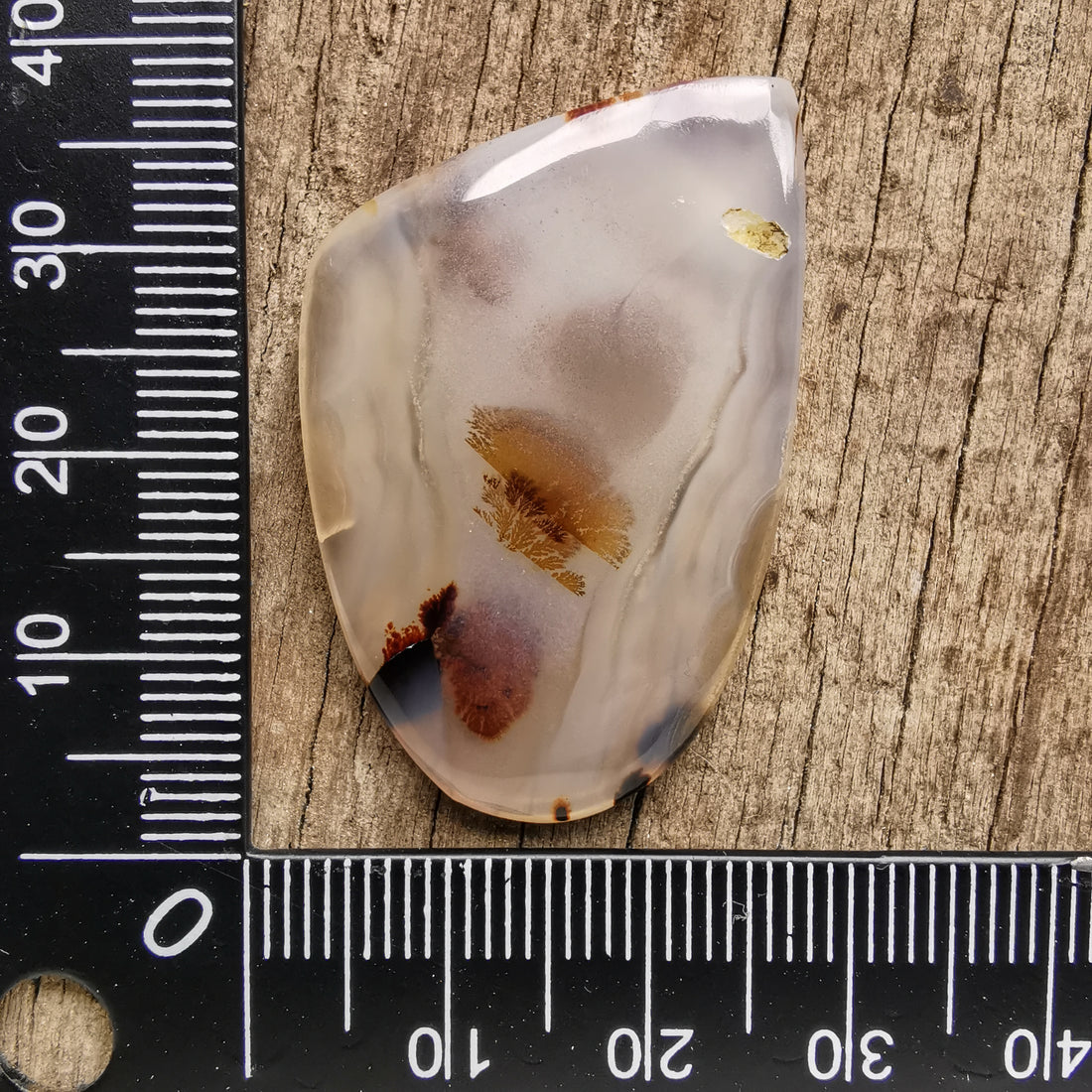 Cabochon Agate Montana