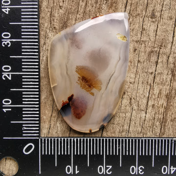 Cabochon Agate Montana