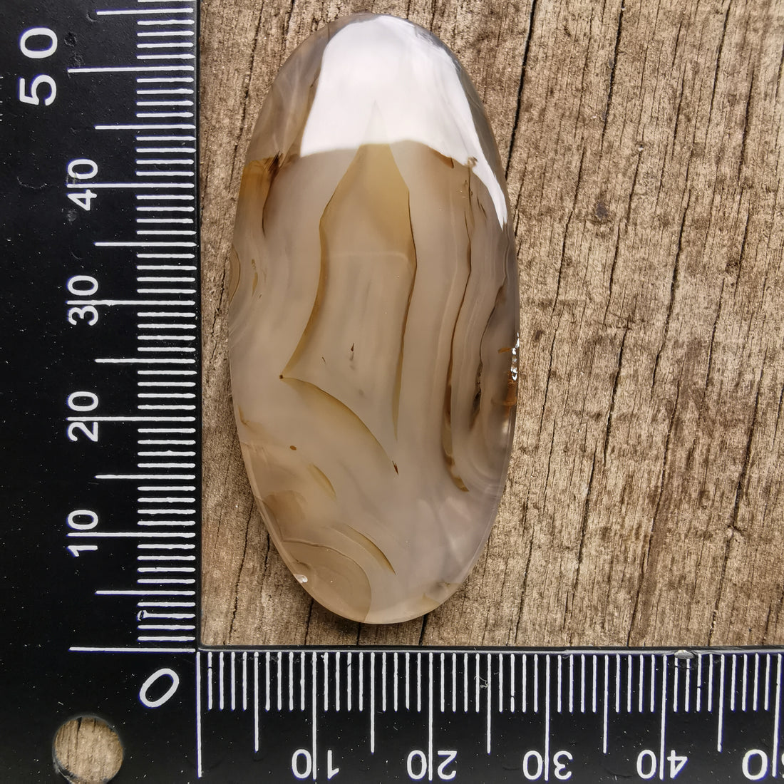 Cabochon Agate Montana