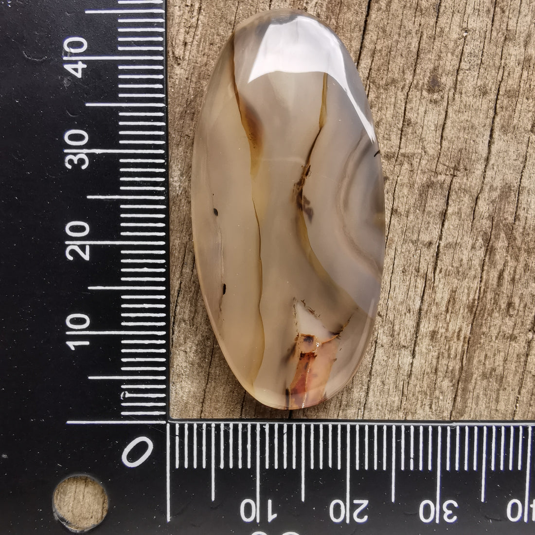 Cabochon Agate Montana