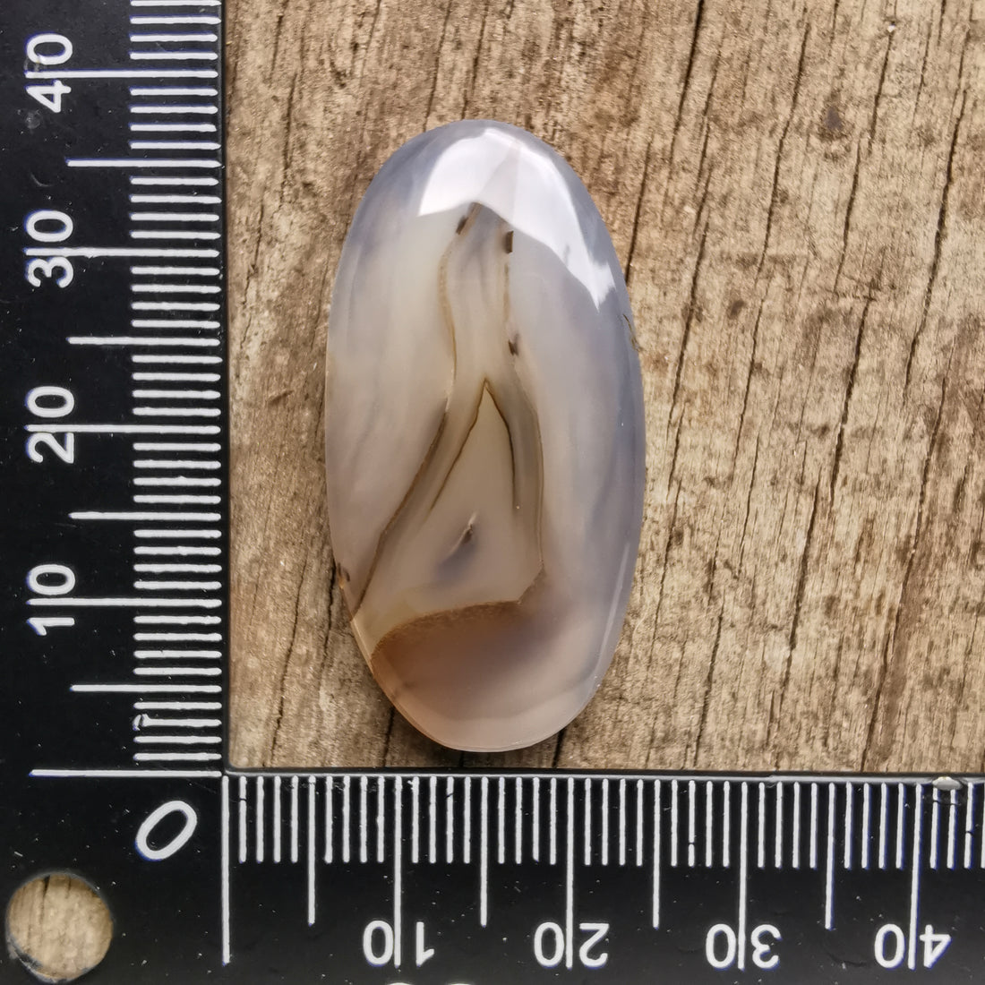 Cabochon Agate Montana