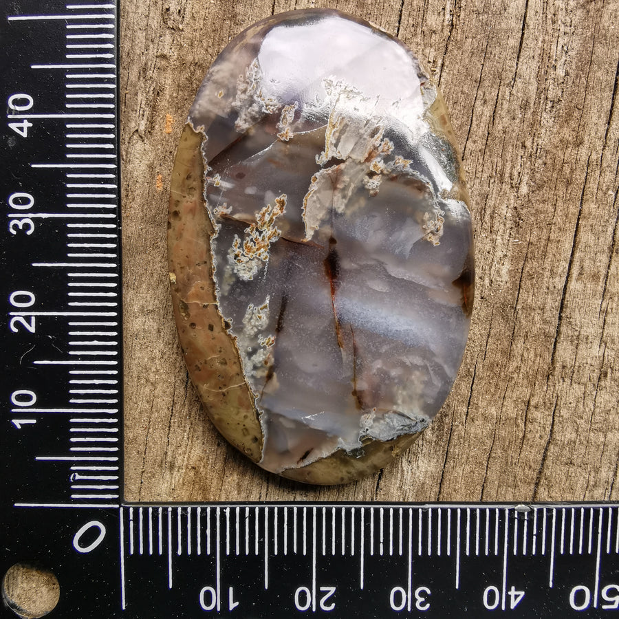 Cabochon Agate Priday Ranch