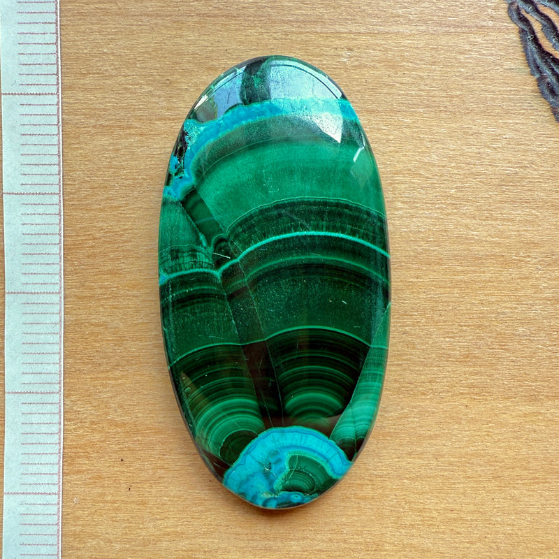 Cabochon Malachite Chrysocolle