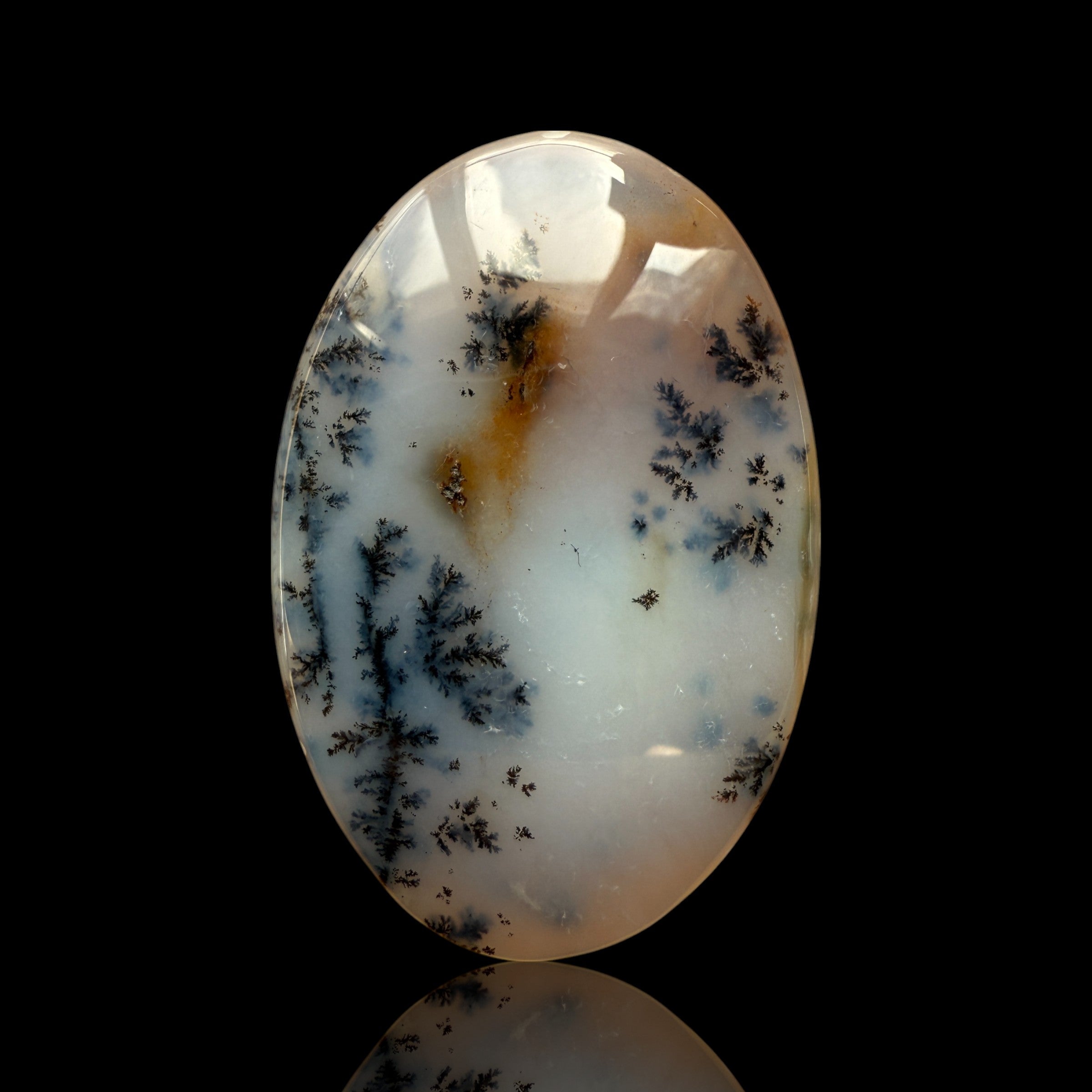 Cabochon Agate Dendrite Turc