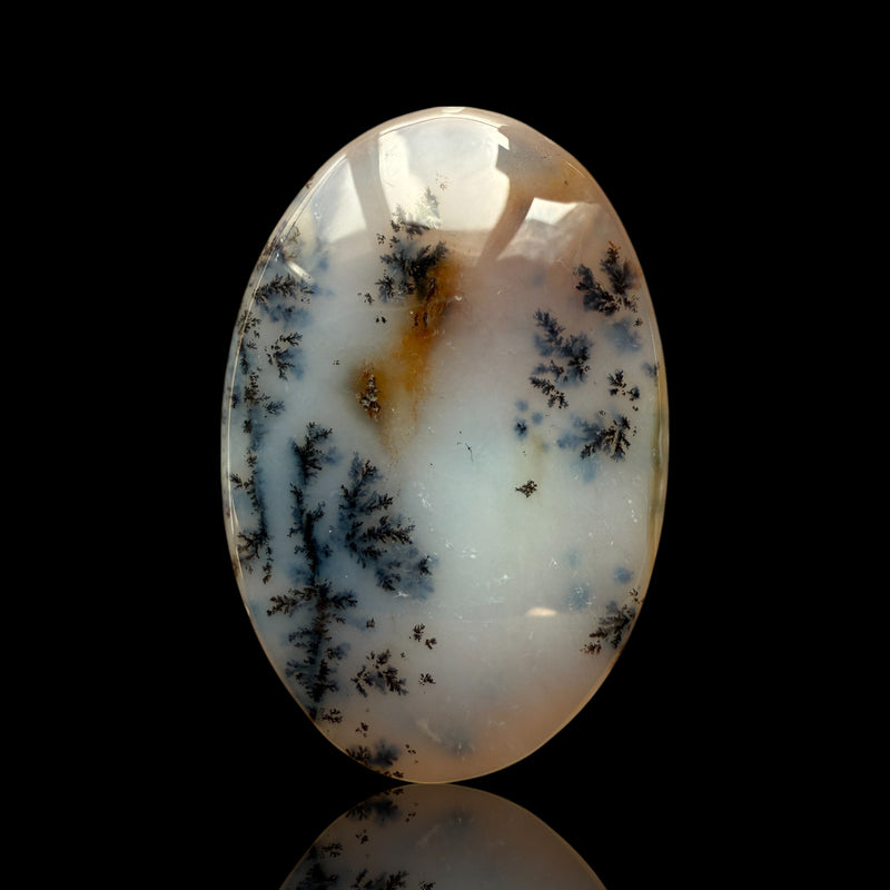 Cabochon Agate Dendrite Turc