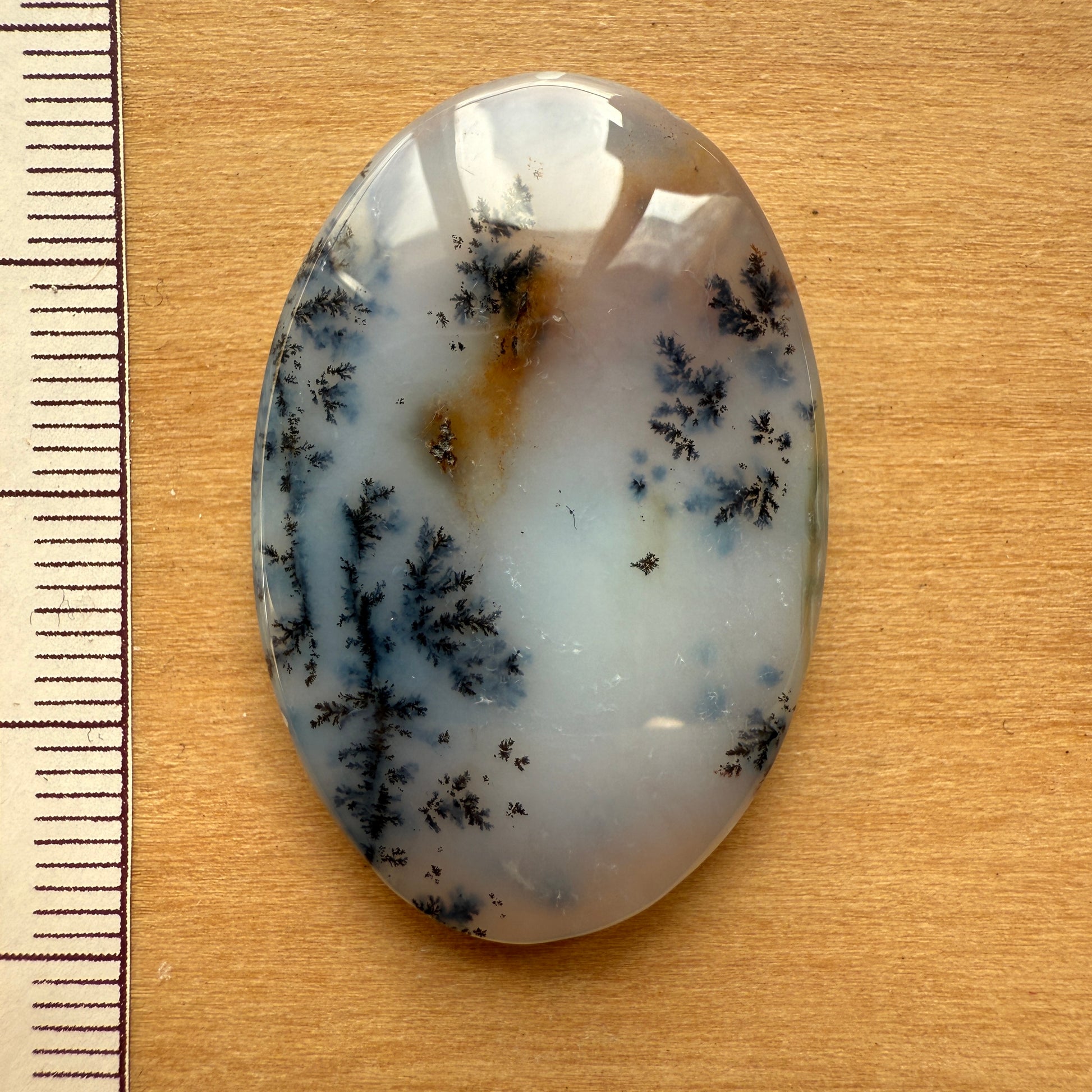 Cabochon Agate Dendrite Turc