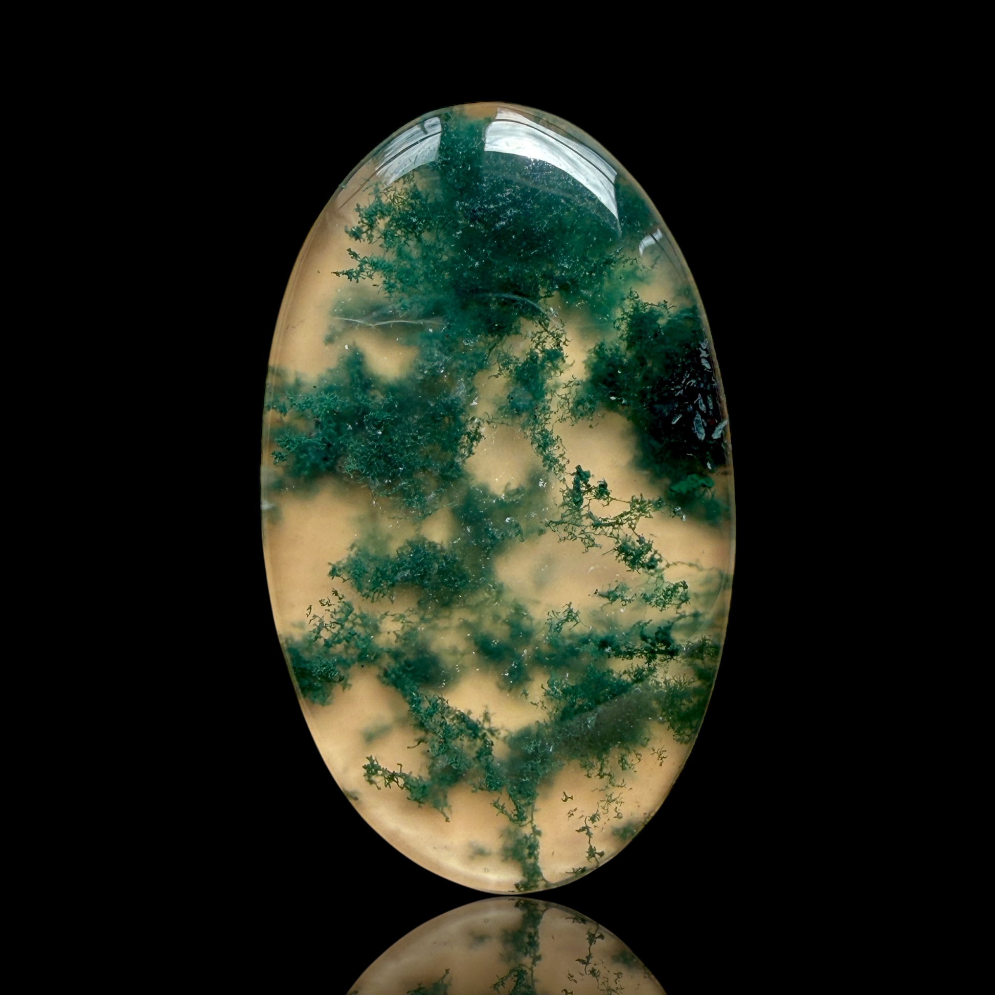 Cabochon Agate Mousse
