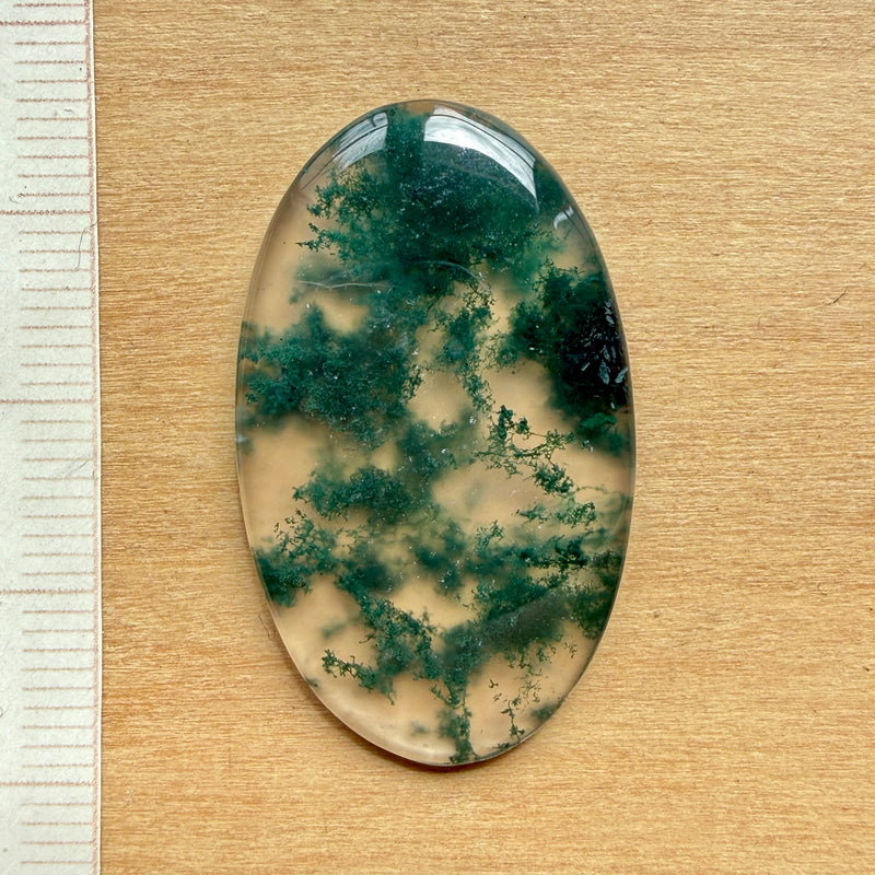 Cabochon Agate Mousse