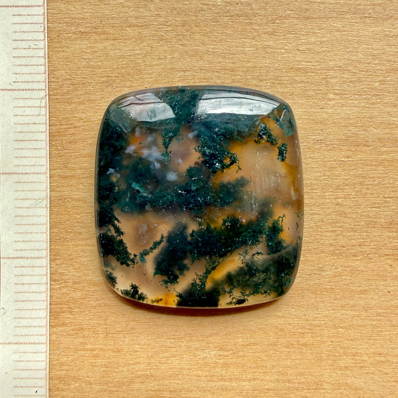 Cabochon Agate Mousse