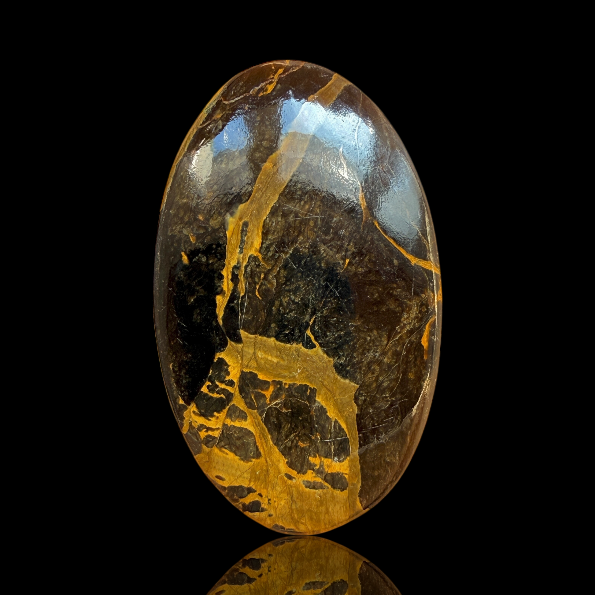 Cabochon Bois Opalisé