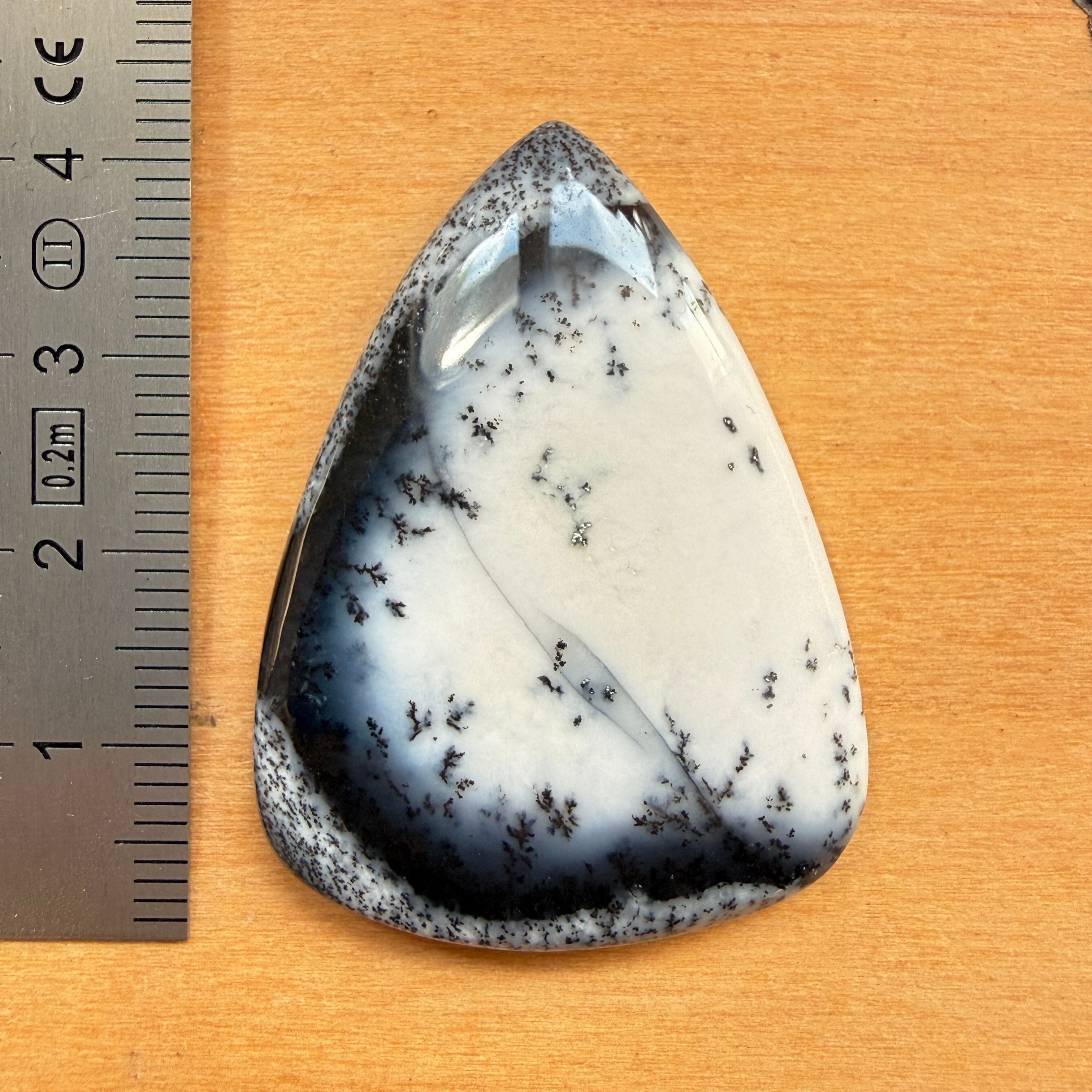 Cabochon Agate Dendritique