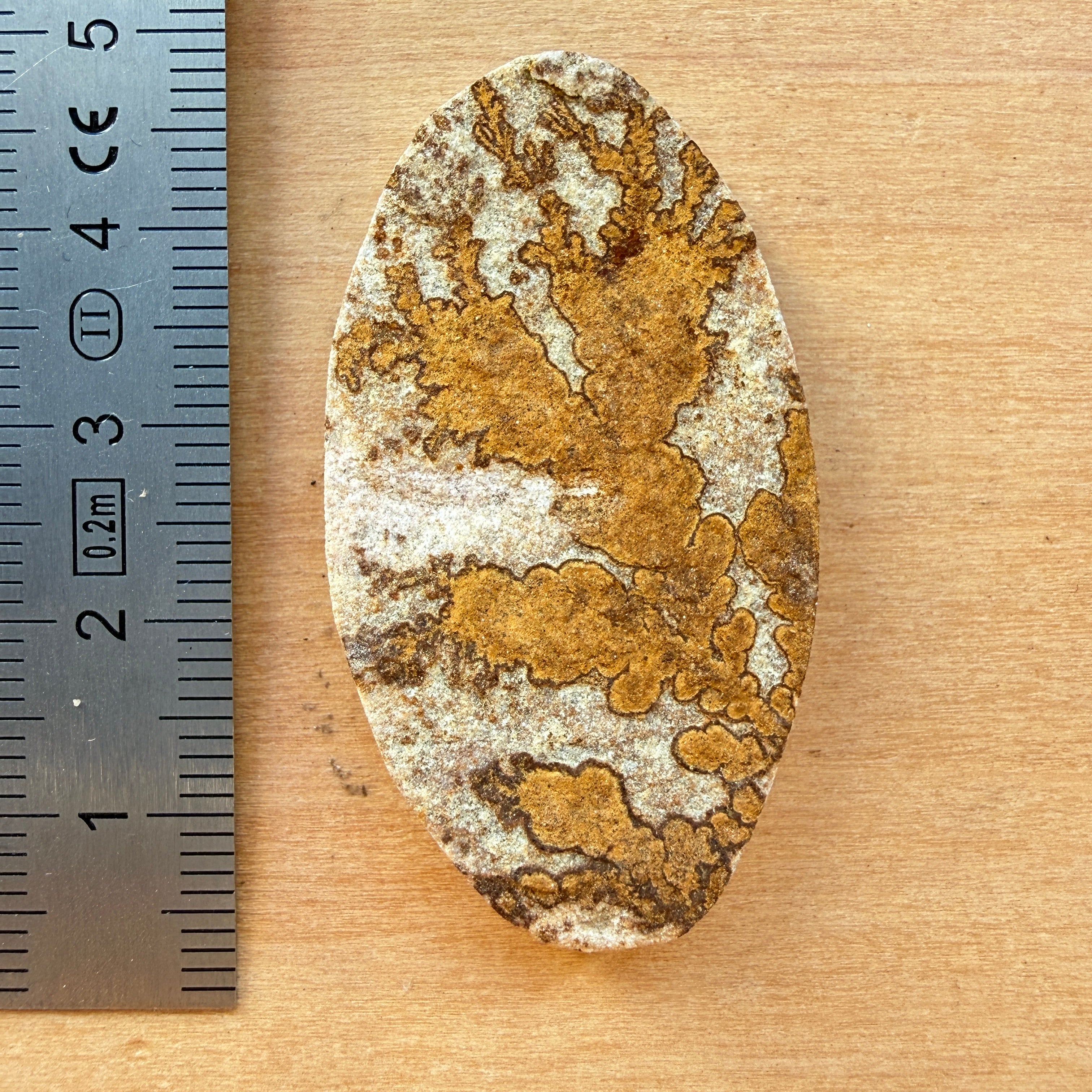 Cabochon Psilomélane Dendrite