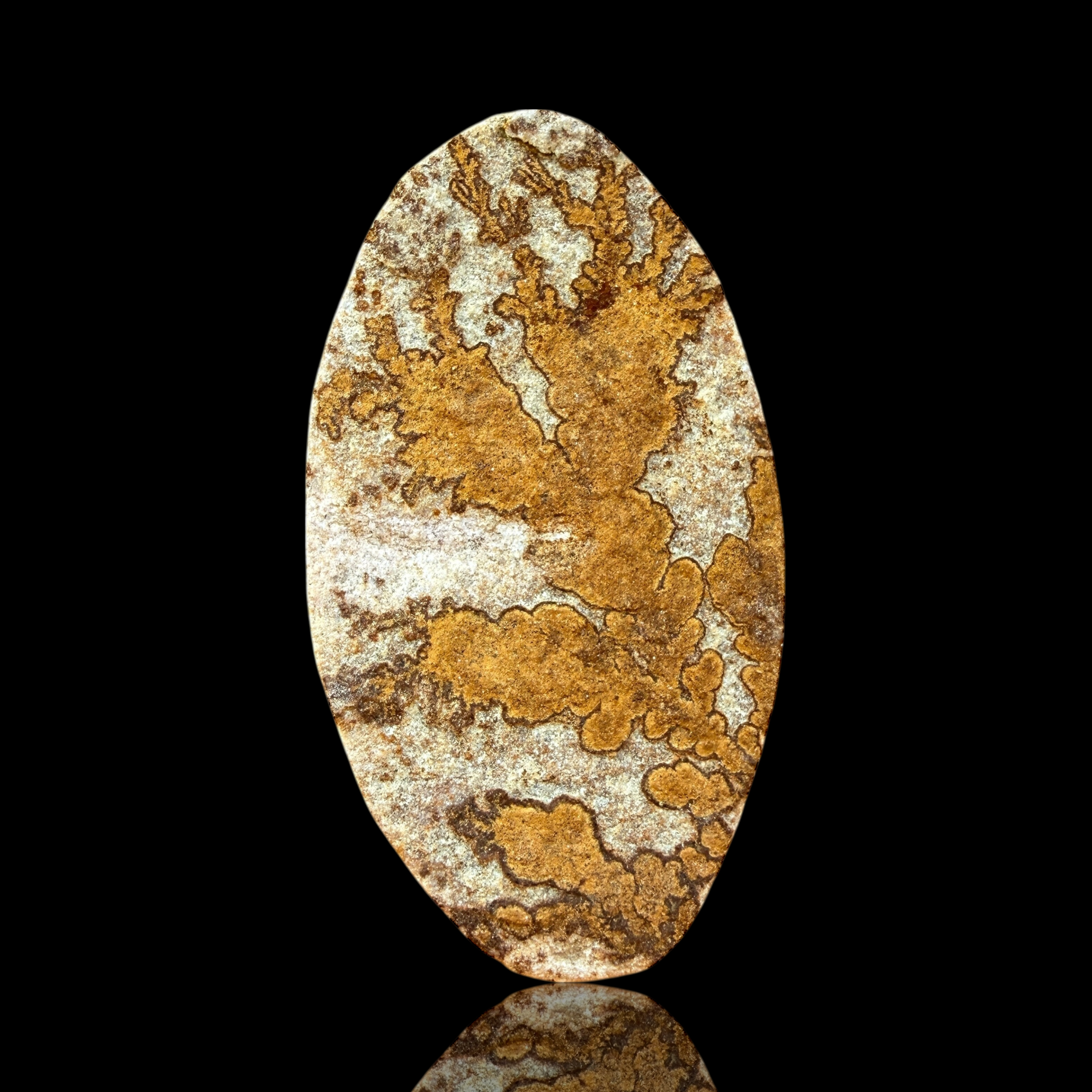 Cabochon Psilomélane Dendrite