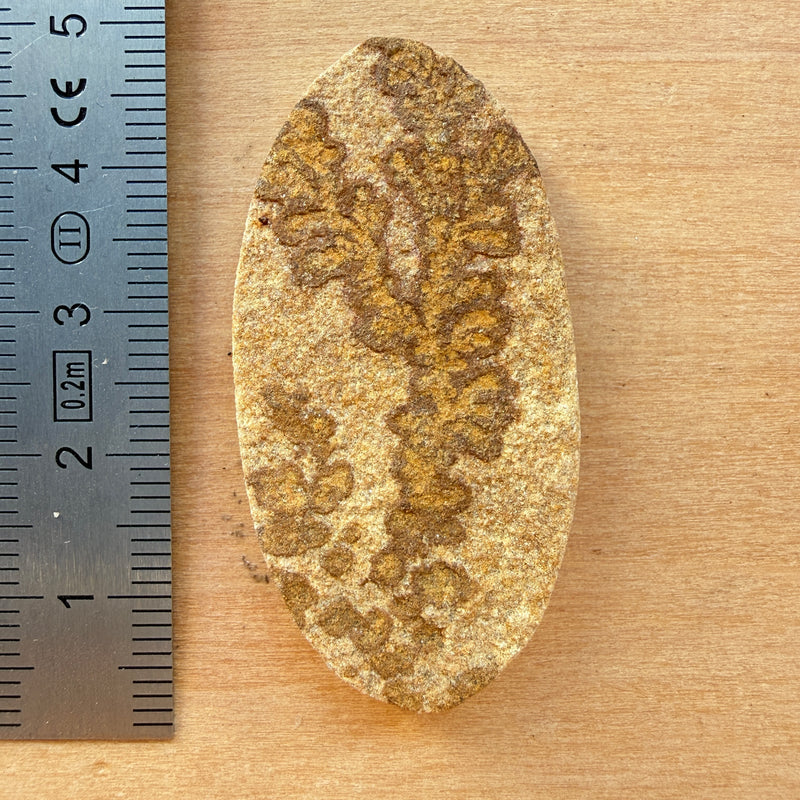 Cabochon Psilomélane Dendrite