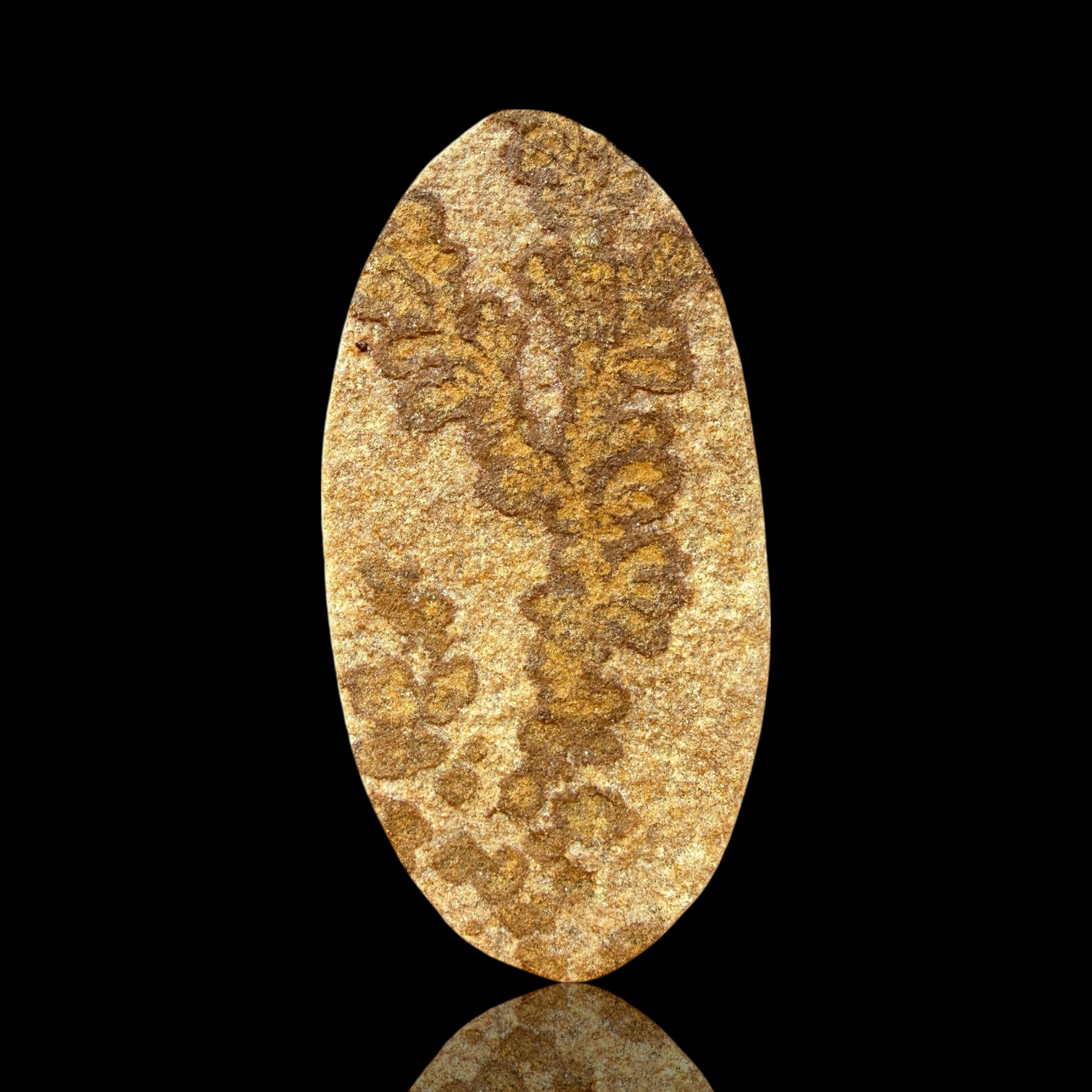 Cabochon Psilomélane Dendrite