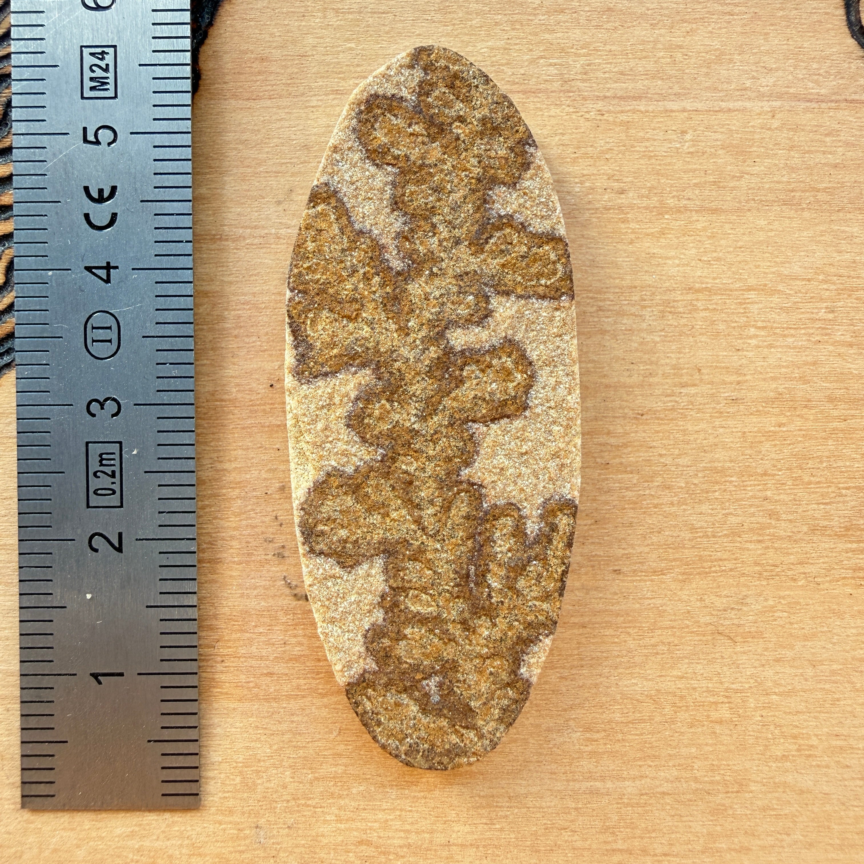 Cabochon Psilomélane Dendrite