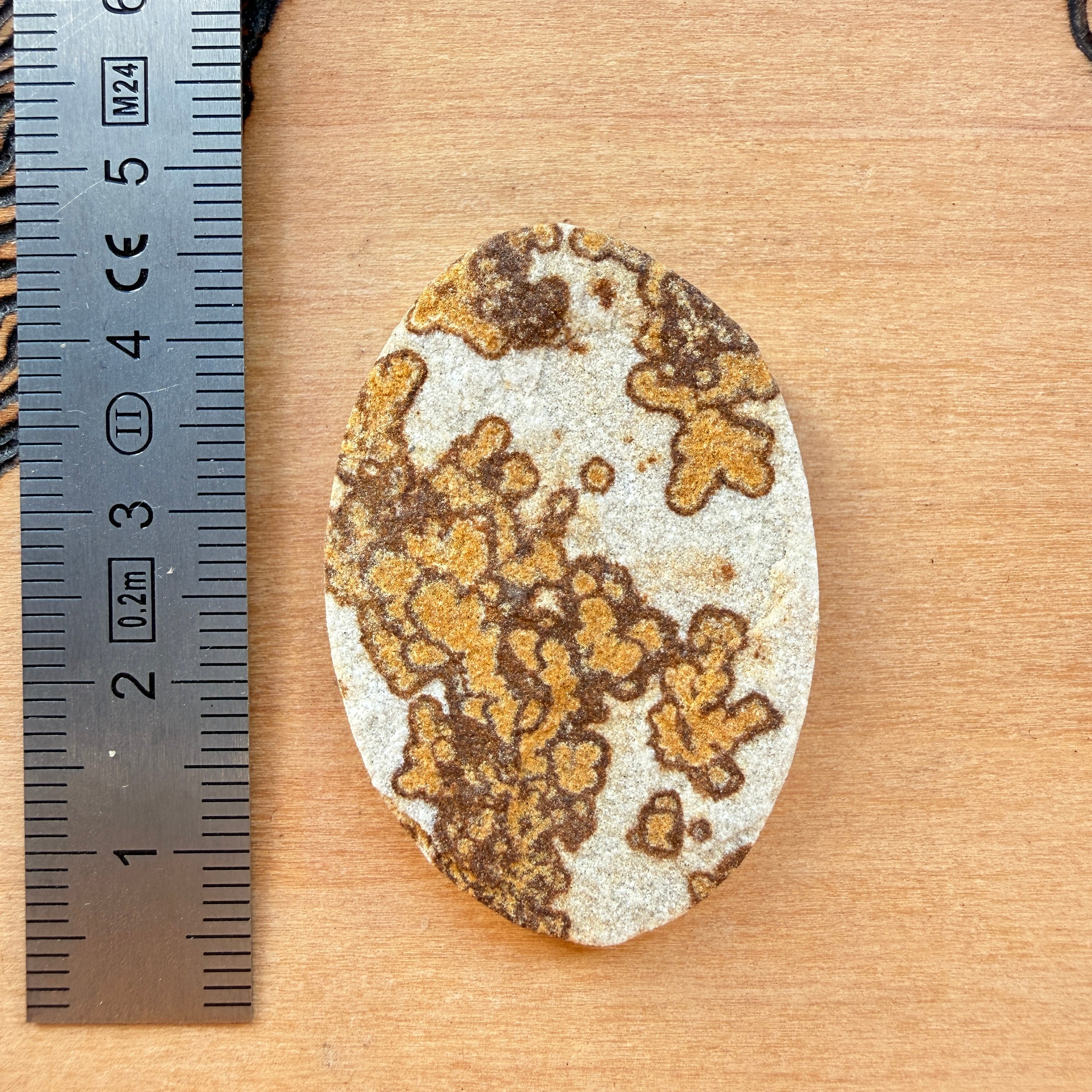 Cabochon Psilomélane Dendrite