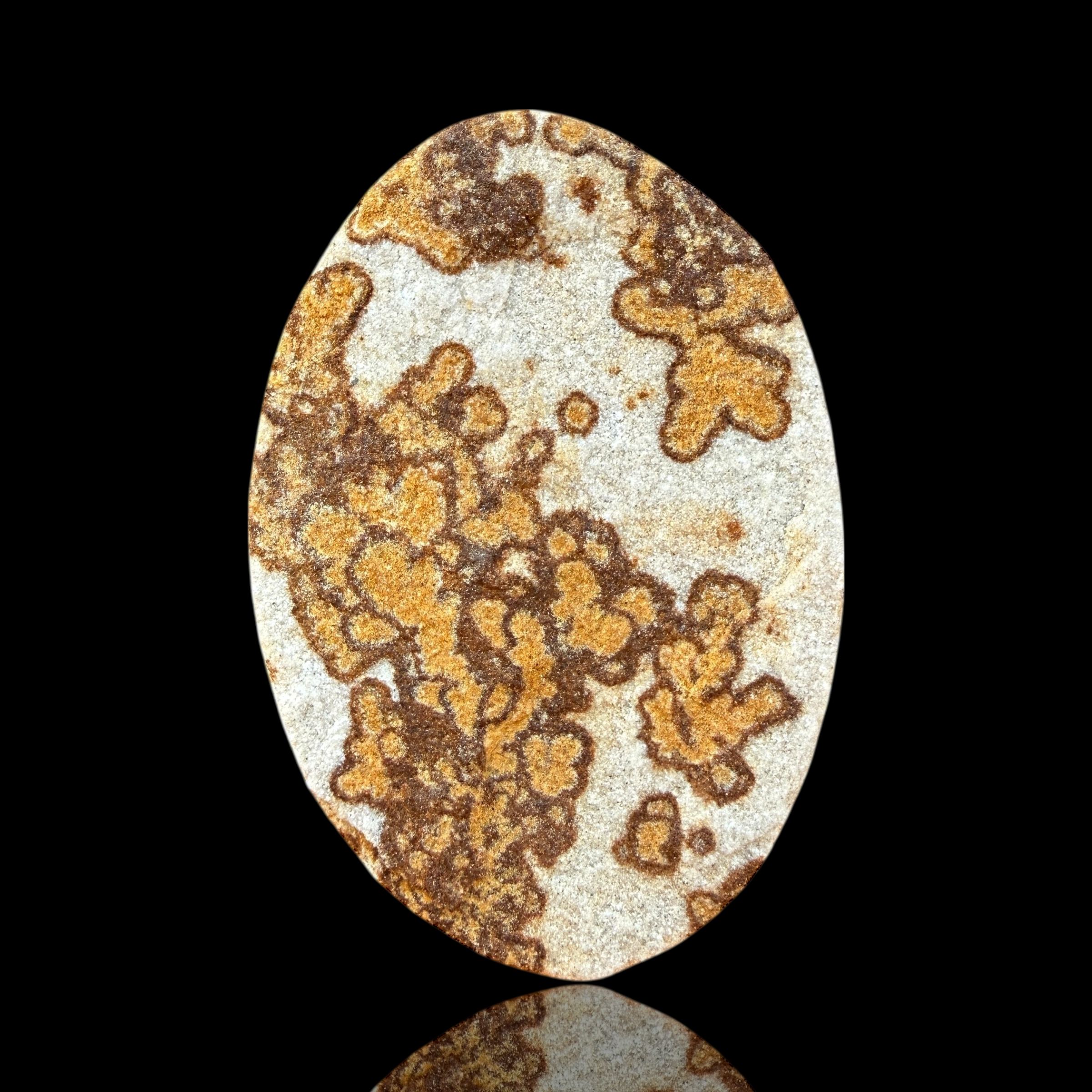 Cabochon Psilomélane Dendrite