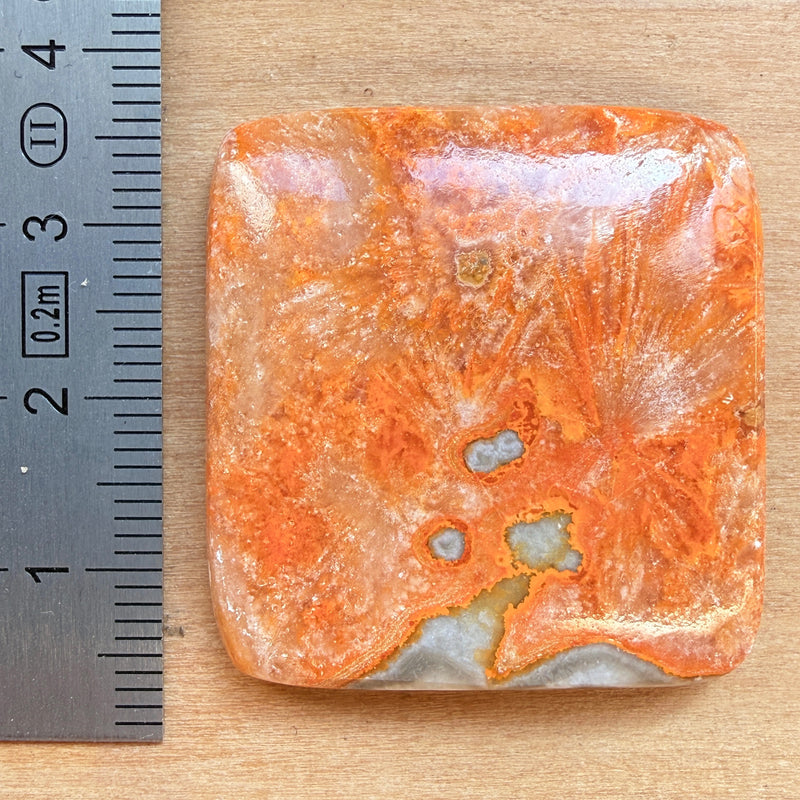 Cabochon Jaspe Bourdon