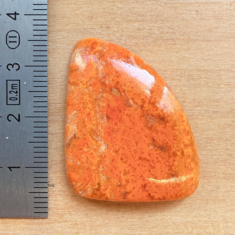 Cabochon Jaspe Bourdon