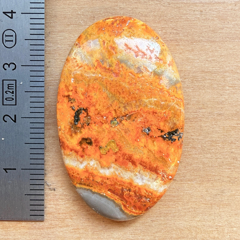 Cabochon Jaspe Bourdon