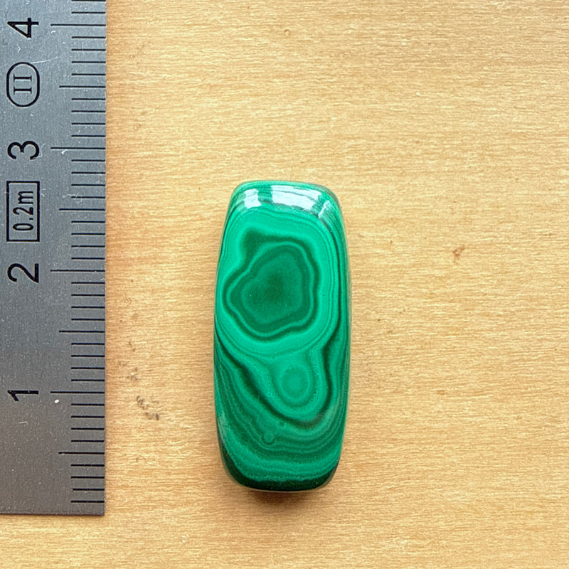 Cabochon Malachite