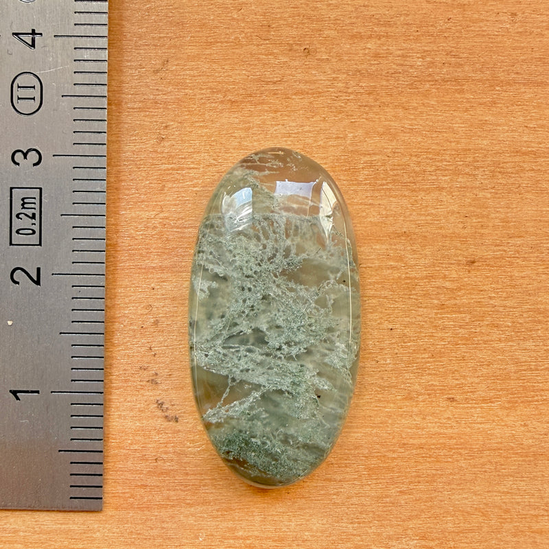 Cabochon Agate Mousse