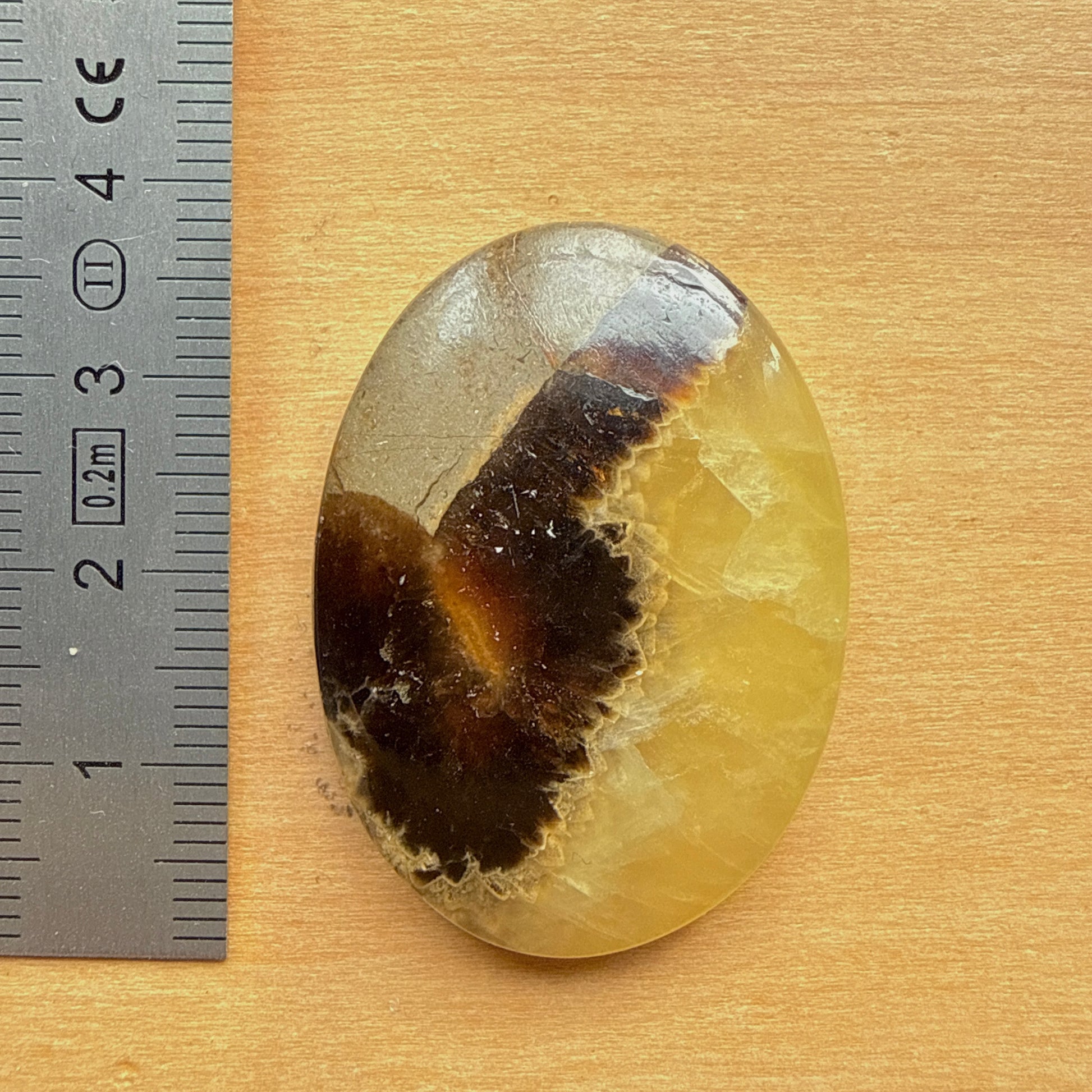 Cabochon Septaria Jaune