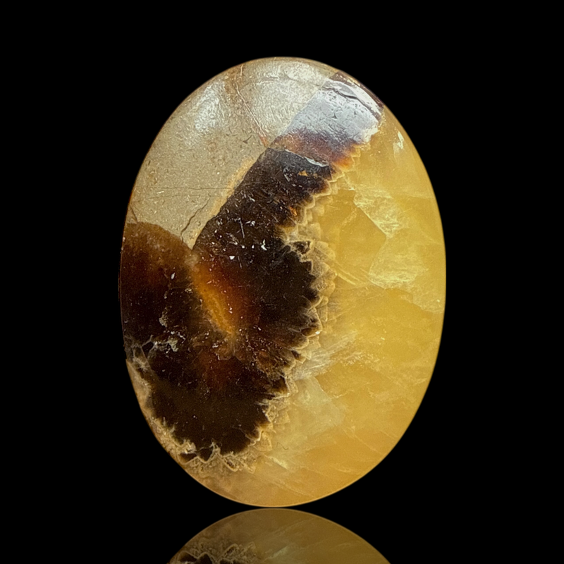 Cabochon Septaria Jaune