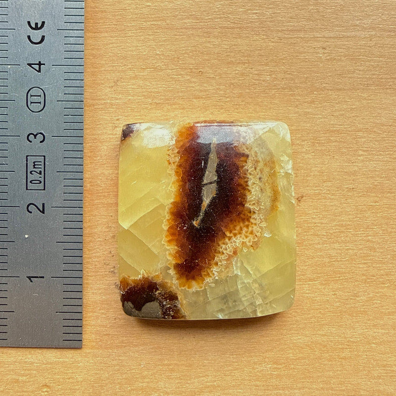 Cabochon Septaria Jaune