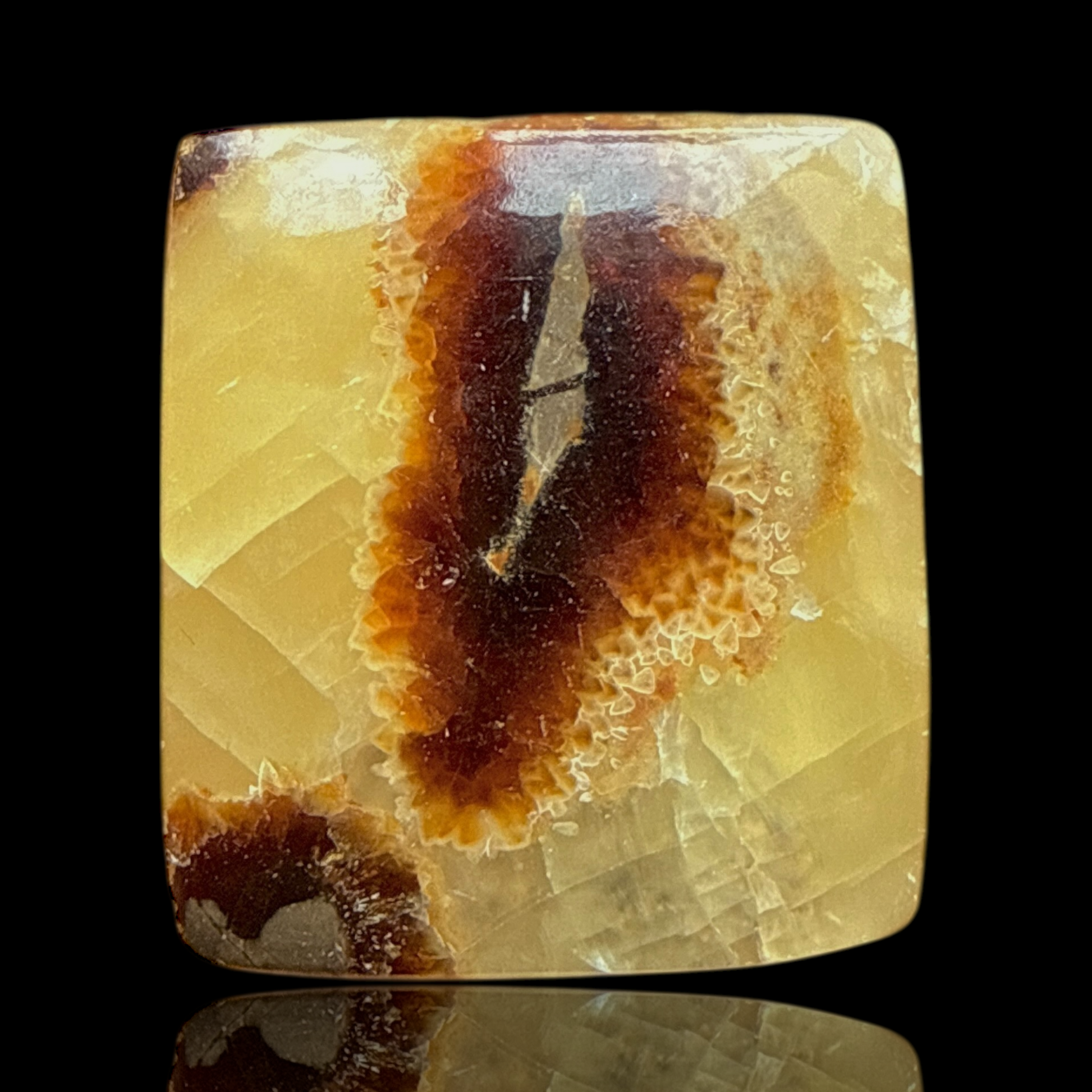 Cabochon Septaria Jaune