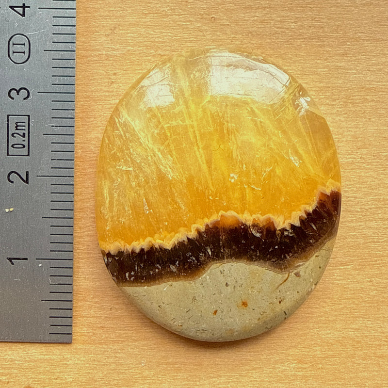 Cabochon Septaria Jaune