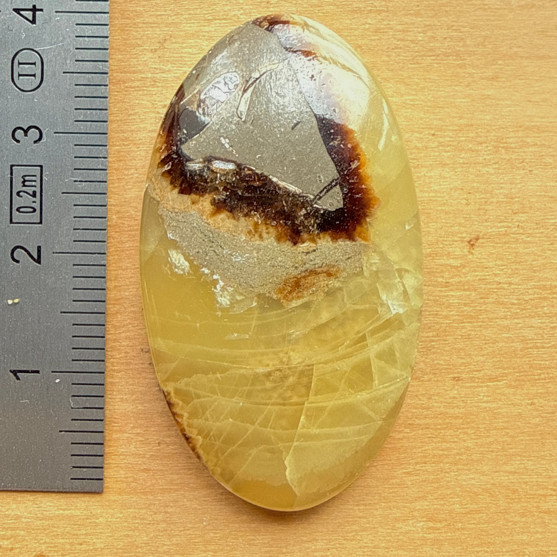 Cabochon Septaria Jaune