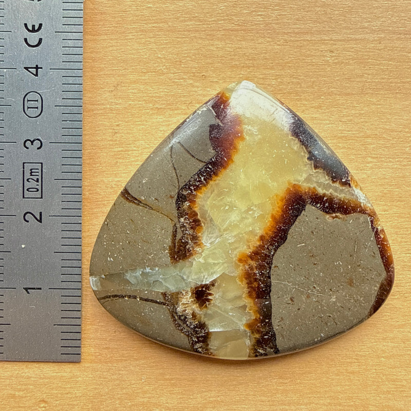 Cabochon Septaria Jaune