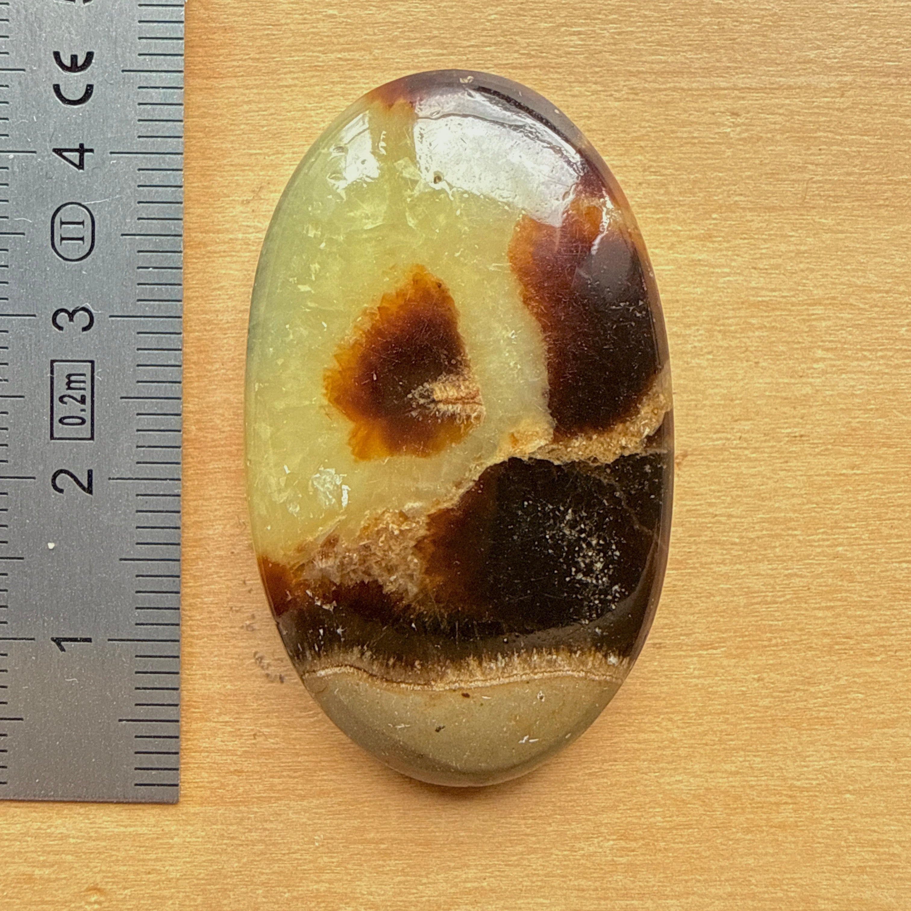 Cabochon Septaria Jaune